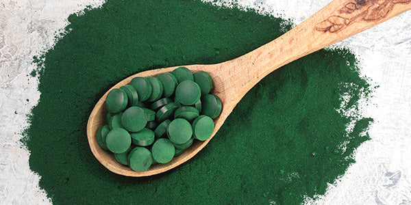 Chlorella Pulver und Tabletten Holzlöffel